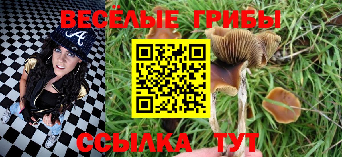 Галлюциногенные грибы прущие грибы  Вход с VPN  Камышлов 