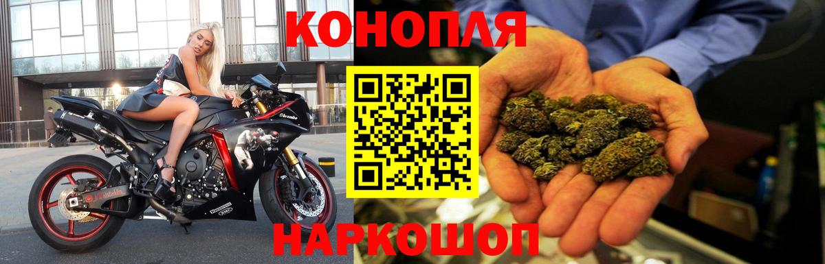 МАРИХУАНА ГИДРОПОН Камышлов